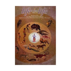Life Comes from Life