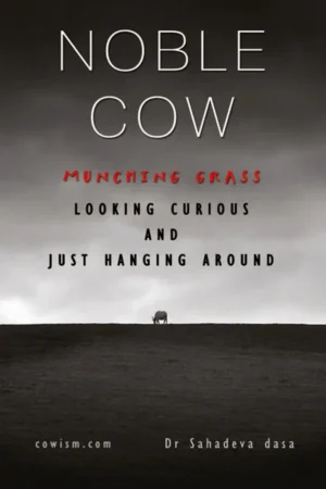 Noble Cow (English)