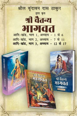 Shri Chaitanya Bhagavat Adi Khand Hindi 3   Volume Set