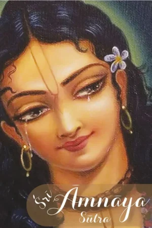 Sri Amnaya Sutra (English)