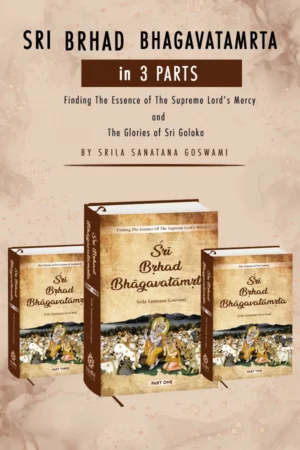 Sri Brhad Bhagavatmrta English 3 Volume   Set