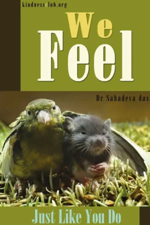 We Feel Just Like You Do (English)