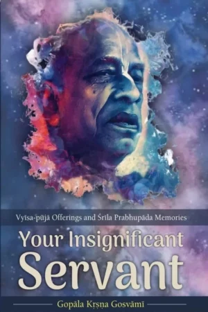 Your Insignificant Servant (English)